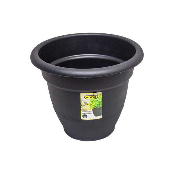 32cm Venus Pot Plant