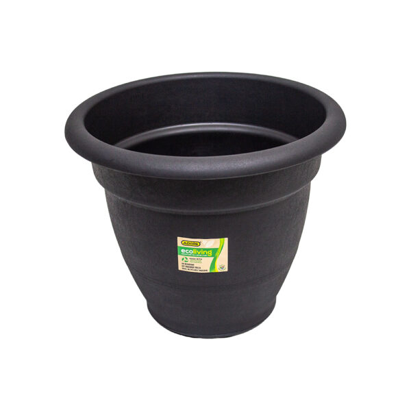 36cm Venus Pot Plant