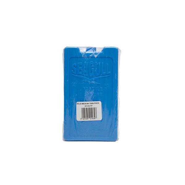 Ice Bricks Solid Medium 2pk