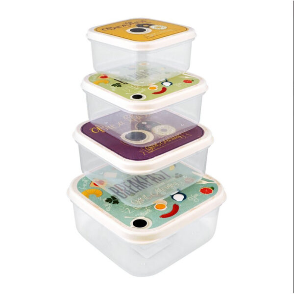 Lunch Box Designs 4pk