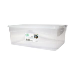Shoe Box Class 10lt