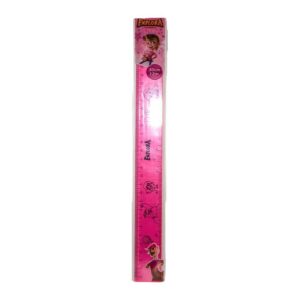 Ruler Explora 30cm