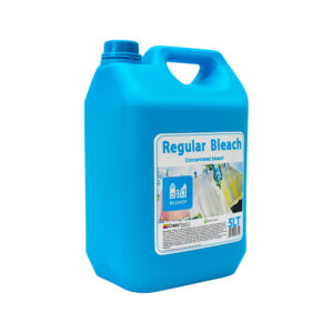 5lt Regular Bleach