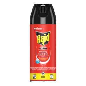 Raid Crawling Insect Killer 300ml