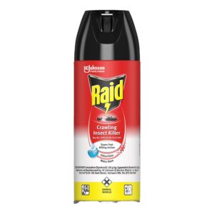 Raid Crawling Insect Killer 300ml Odourless