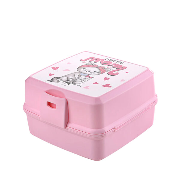 Lunch Box Designs