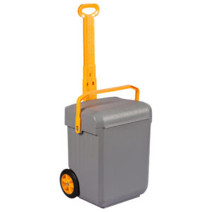School Case Weelie Grey