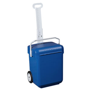School Case Weelie Navy/Grey